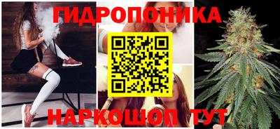 PSILOCYBIN Аргун
